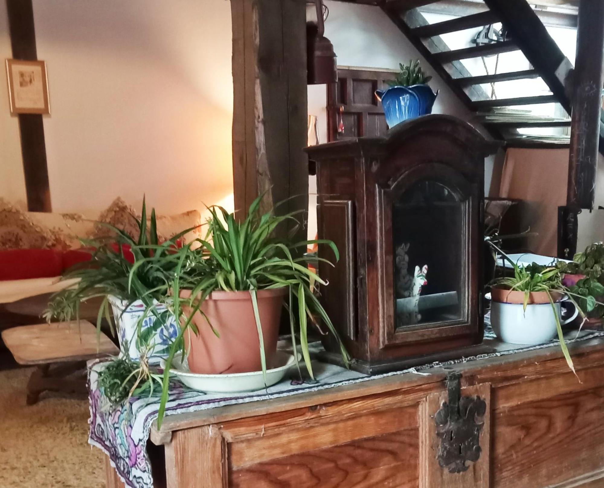 Country house En Cuadra Pajar,